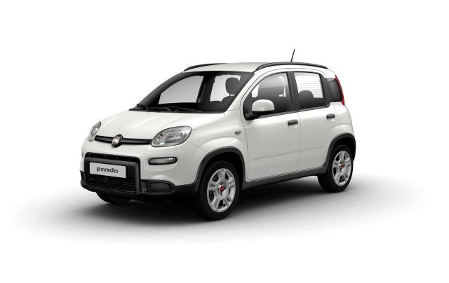 Panda City otogundem (2) (1)