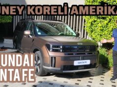 Amerikan gibi Koreli
